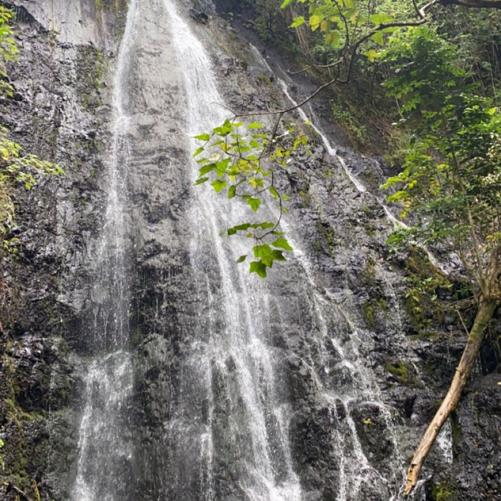 Meet your Posher, Sydney